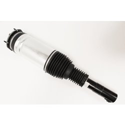 MACPHERSON STRUT  D5