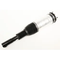 STRT ASY FRT SUSP LH 110