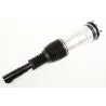 STRT ASY FRT SUSP LH 110