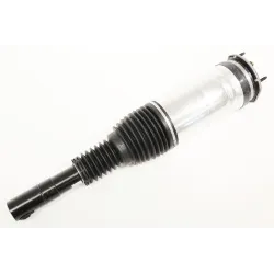 STRT ASY FRT SUSP LH 110