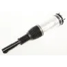 STRT ASY FRT SUSP LH 110