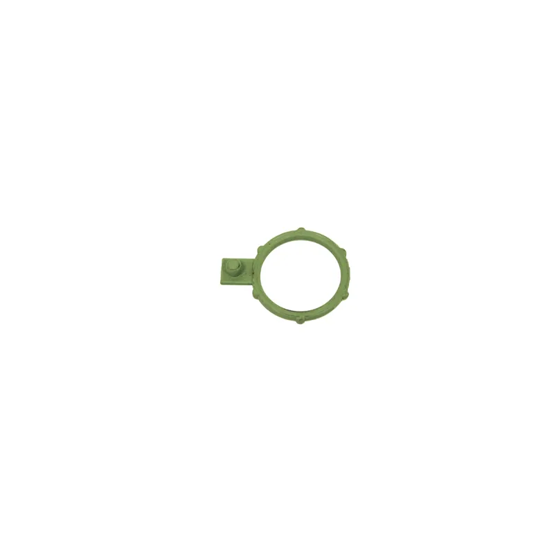 RING  SEALING - VACUUM PUMP