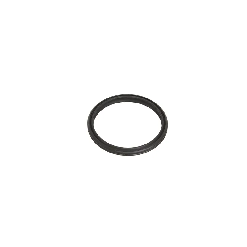 O-RING - THERMOSTAT