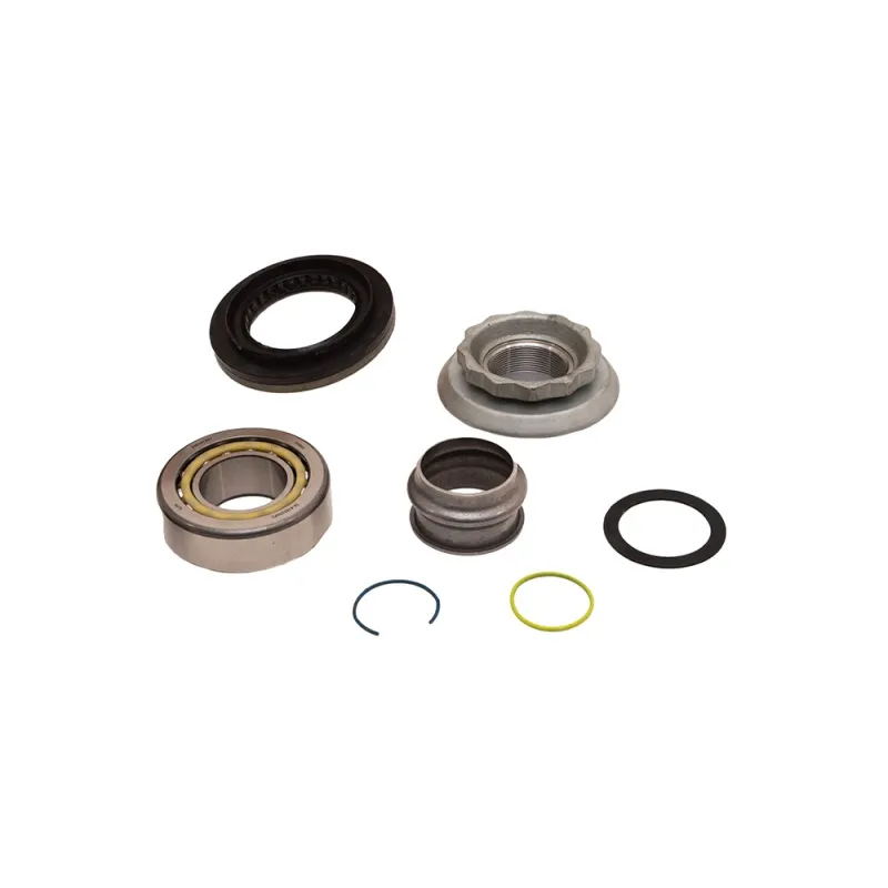 KIT - PINION REPAIR