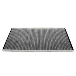 FILTER - POLLEN - HEATER ASSEMBLY