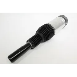 AIR SPRING+DAMPER ASSY