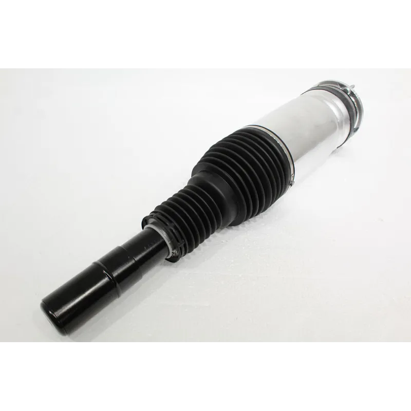 AIR SPRING+DAMPER ASSY