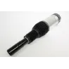 AIR SPRING+DAMPER ASSY