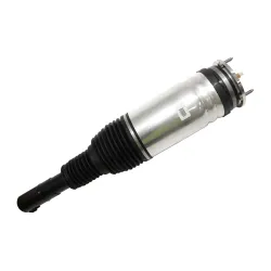 AIR SPRING+DAMPER ASSY