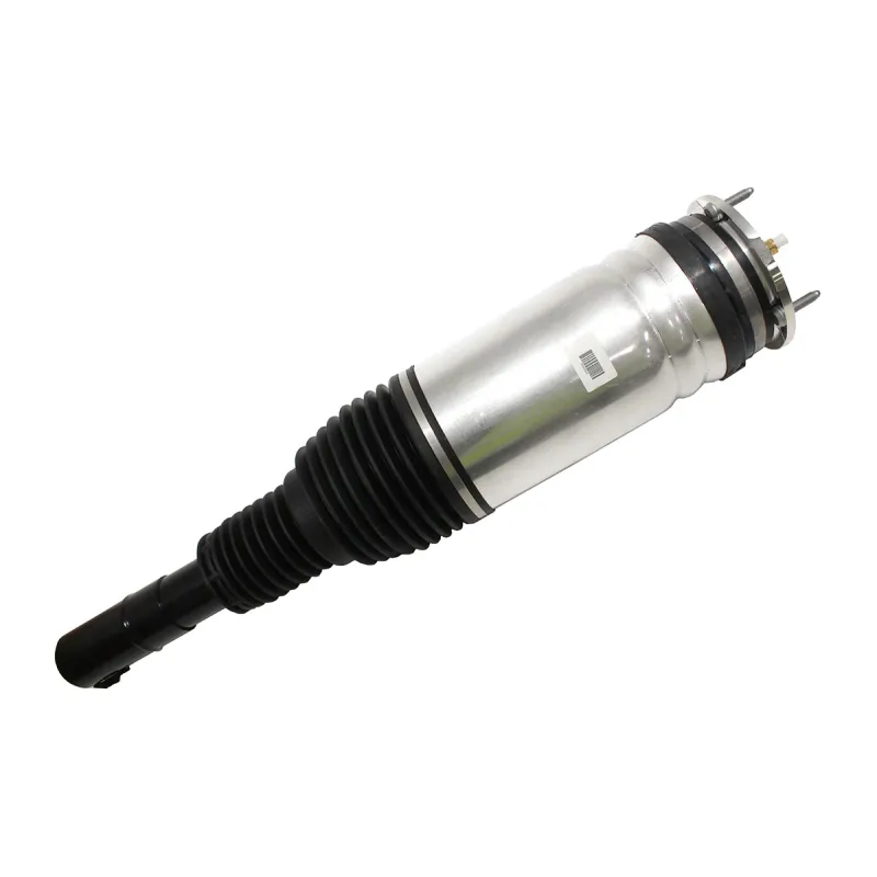 AIR SPRING+DAMPER ASSY
