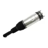 AIR SPRING+DAMPER ASSY