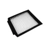 POLLEN FILTER FOR P38