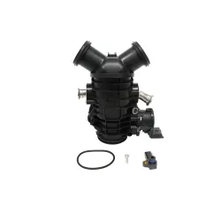THROTTLE BODY AND MOTOR