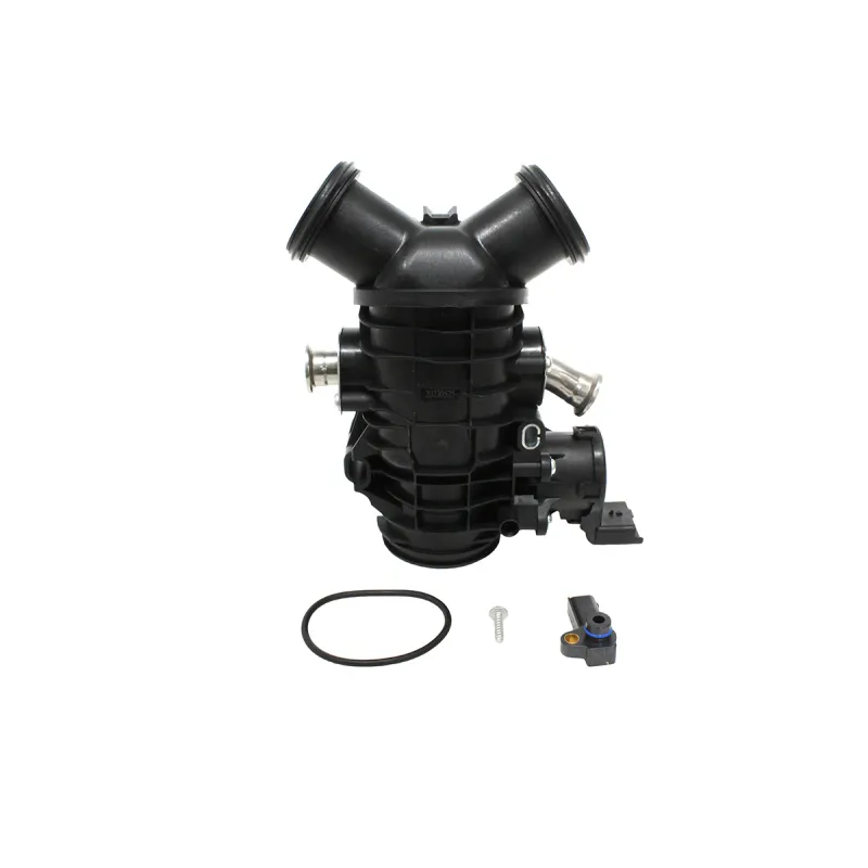 THROTTLE BODY AND MOTOR
