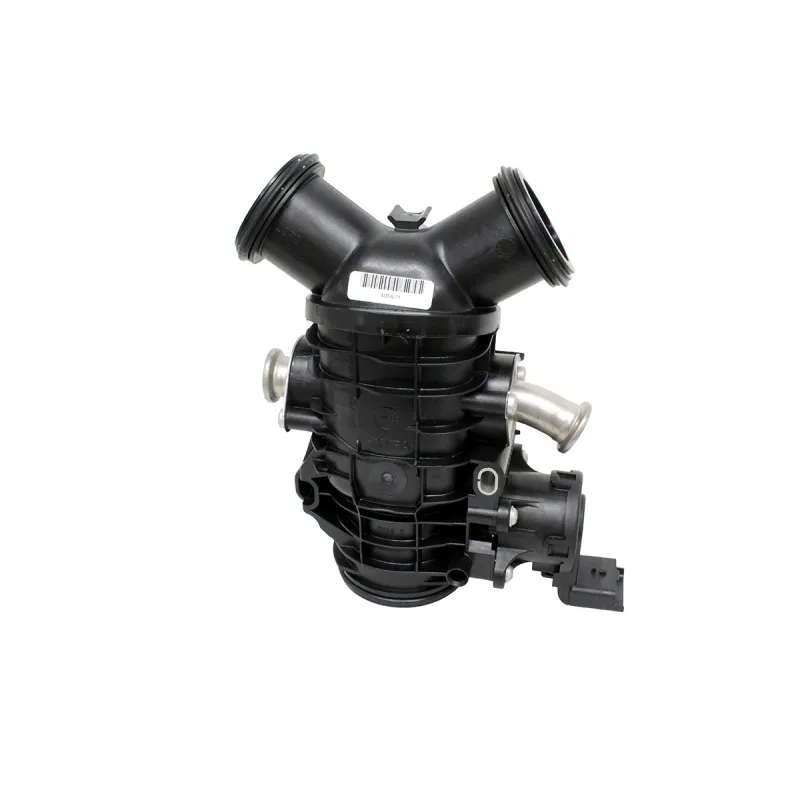 THROTTLE BODY AND MOTOR