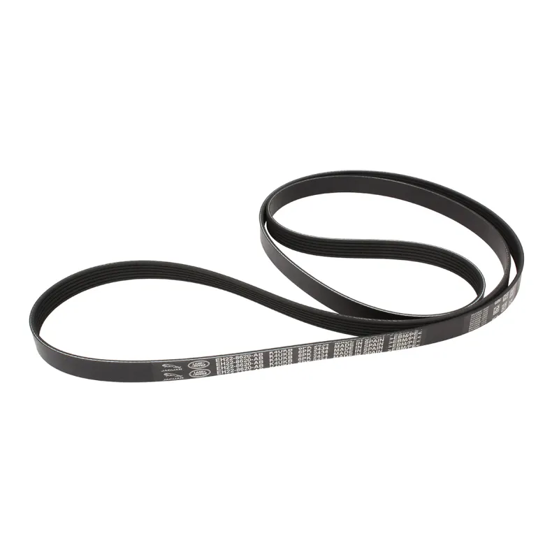 Belt - Accessory Drive