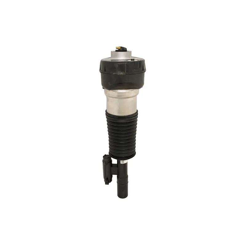 SHOCK ABSORBER - RH