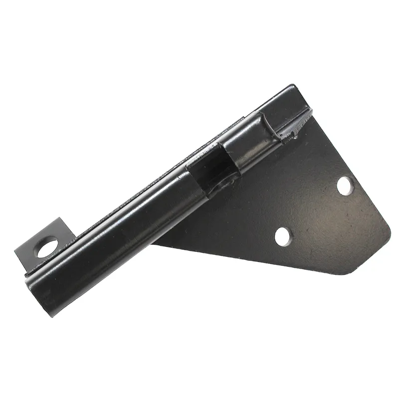 CHECK ASSY - DOOR