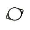 THERMOSTAT GASKET