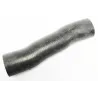 PUMP TO RAIL HOSE