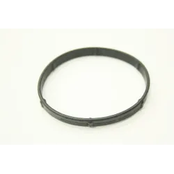 THERMOSTAT SEAL
