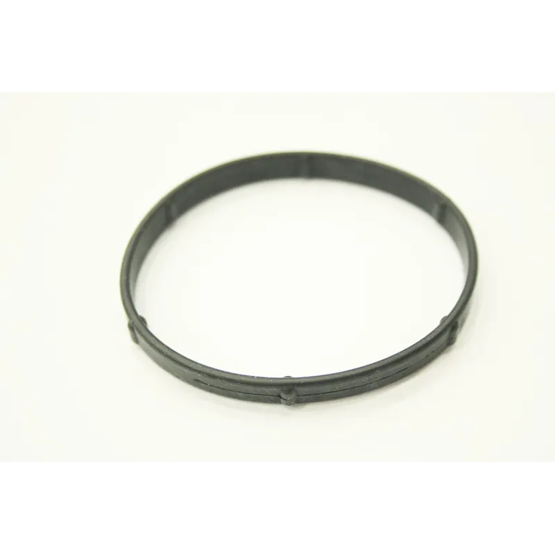 THERMOSTAT SEAL