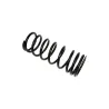 SPRING - COIL