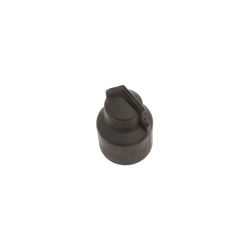 DUMP VALVE