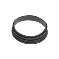 SEAL - FUEL PUMP