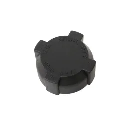 CAP EXPANSION TANK