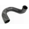 HOSE - RADIATOR BOTTOM