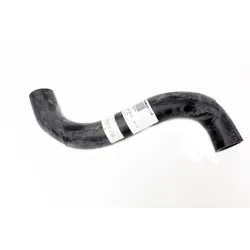 HOSE ASSY - UPPER RADIATOR