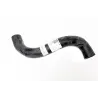 HOSE ASSY - UPPER RADIATOR