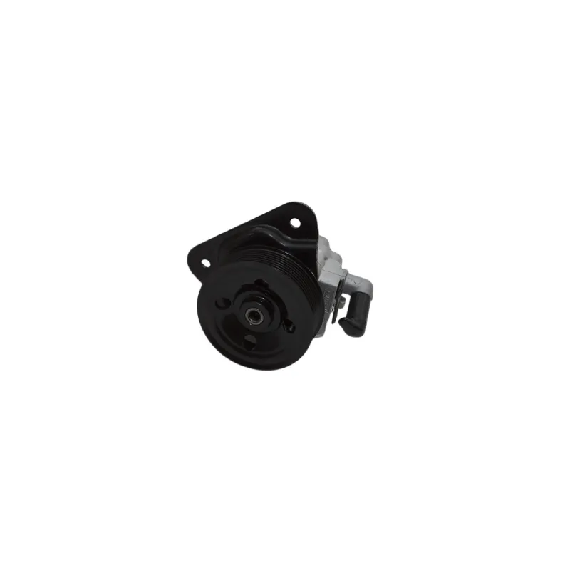 PUMP - POWER STEERING