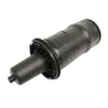 AIR SPRING