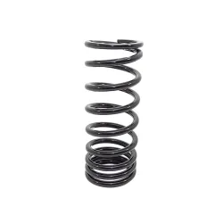 COIL SPRING - REAR SUSPENSION - D2