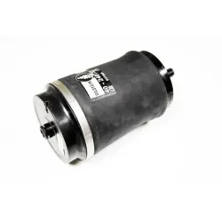 AIR SPRING