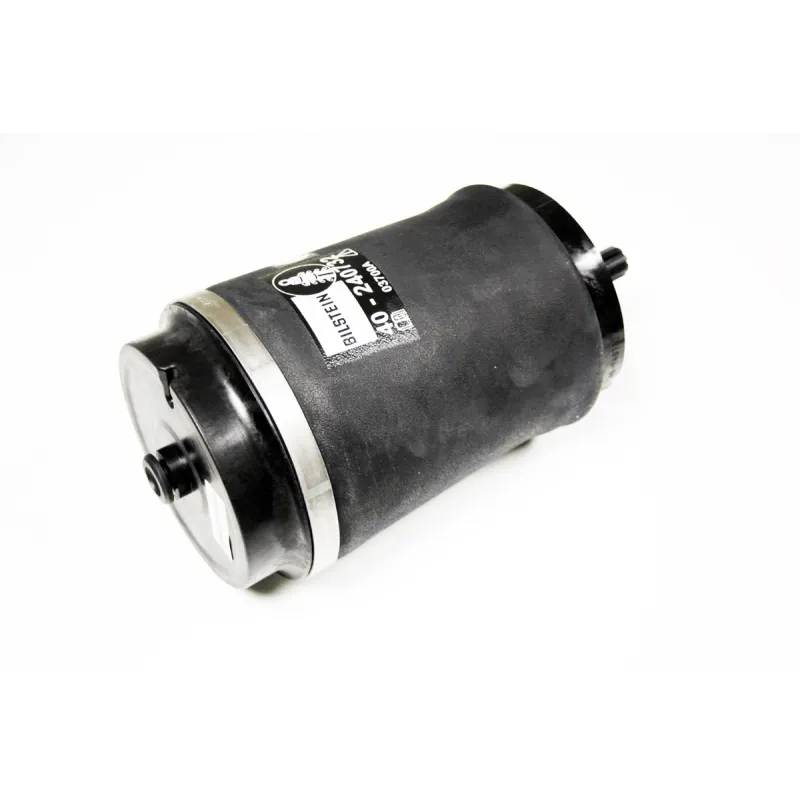 AIR SPRING
