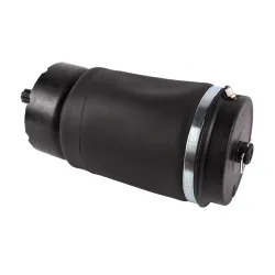 AIR SPRING