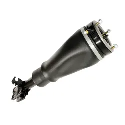 SHOCK ABSORBER & AIR SPRING