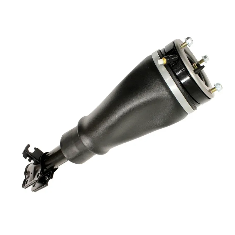 SHOCK ABSORBER & AIR SPRING
