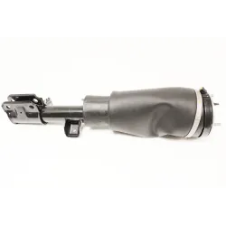 SHOCK ABSORBER AND AIR SPRING - RH