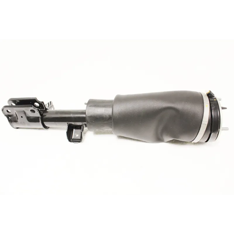 SHOCK ABSORBER AND AIR SPRING - RH