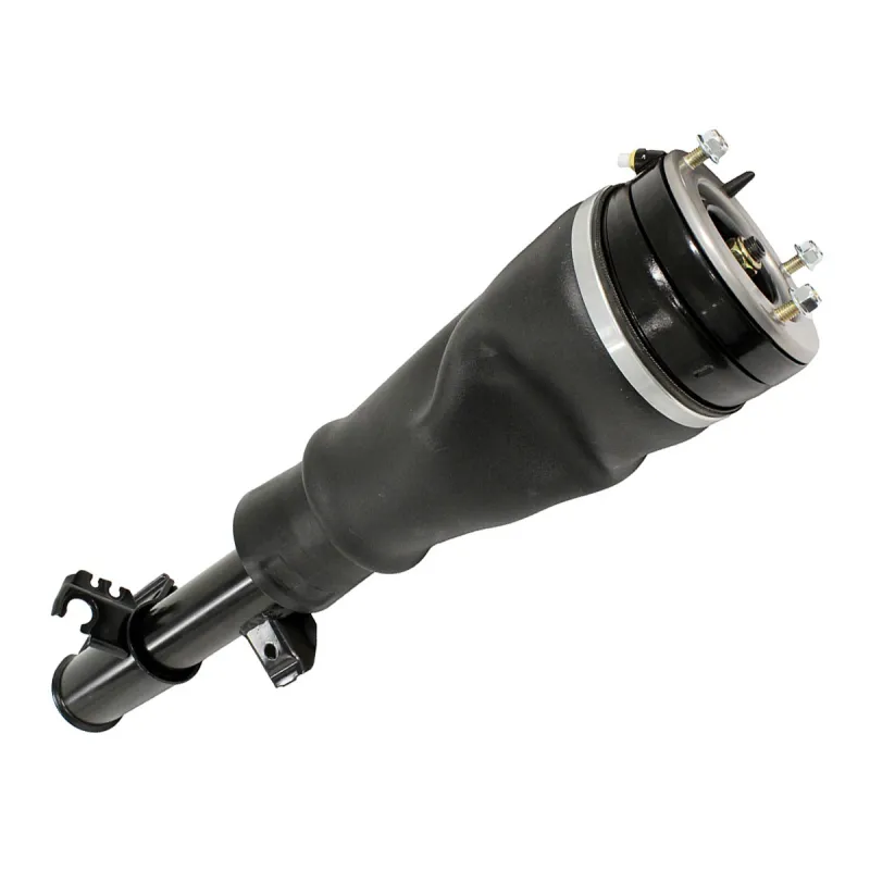 SHOCK ABSORBER & AIR SPRING