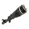 SHOCK ABSORBER & AIR SPRING