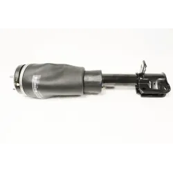 DAMPER - ASSEMBLY - FRONT SUSPENSION