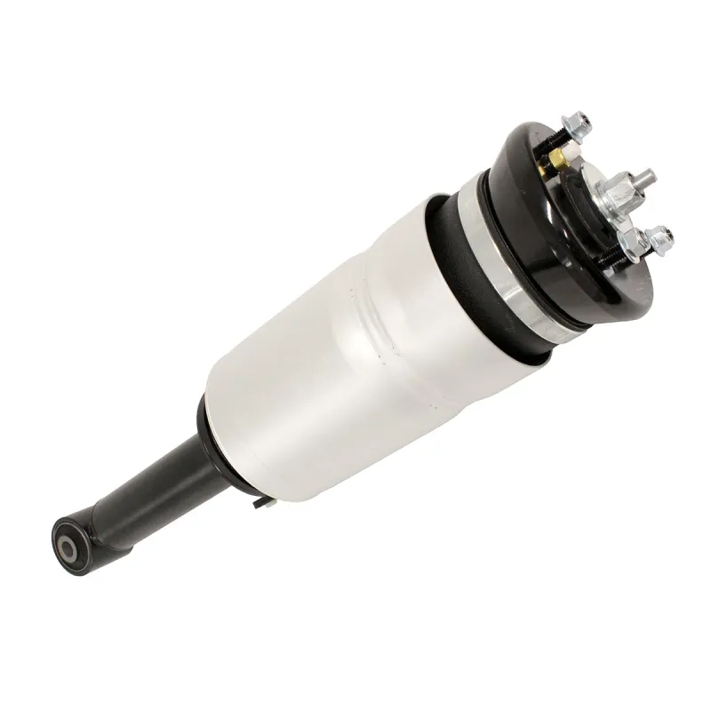 SHOCK ABSORBER & AIR SPRING