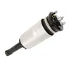 SHOCK ABSORBER & AIR SPRING
