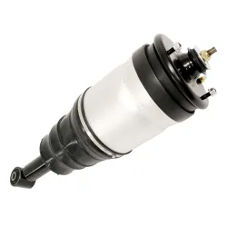SHOCK ABSORBER & AIR SPRING