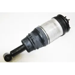 DAMPER - ASSEMBLY - REAR SUSPENSION
